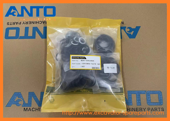 31N6-10110 بسته مهر و موم هیوندای قطعات معدنی برای R210LC7 RC215C7